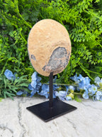 Halve Agaat op standaard (1280 gr/21 cm)