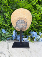 Halve Agaat op standaard (1280 gr/21 cm)