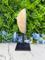 Halve Agaat op standaard (1280 gr/21 cm)