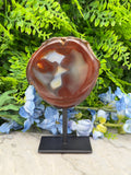 a large, circular, natural stone with a reddish-brown hue, placed on a black metal stand. The stone appears to be a piece of agate, and it is set against a backdrop of lush green foliage and blue flowers.