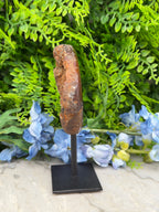 a brown rock or mineral sample displayed on a black metal stand, surrounded by blue flowers and green foliage.