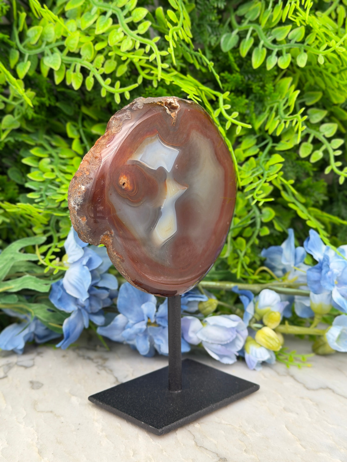 a brown agate stone with a white pattern, displayed on a black stand in front of a backdrop of green foliage and blue flowers.