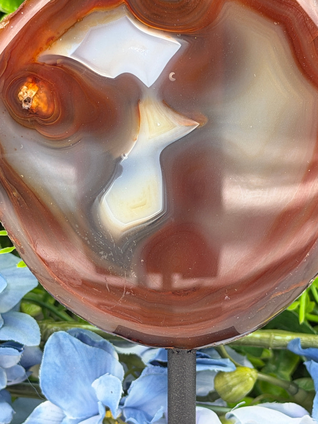 a close-up view of a round, brown and orange agate stone with a unique, swirling pattern. The stone is set against a backdrop of blue flowers, creating a visually striking contrast.