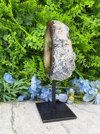 Halve Agaat op standaard (1522 gr/21 cm)