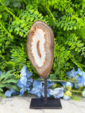 a large, irregularly shaped rock with a white and brown band, placed on a black stand in front of a backdrop of green foliage and blue flowers.