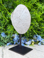 Halve Agaat op standaard (1190 gr/22 cm)