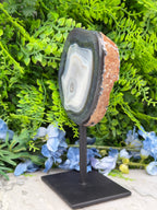 a large, irregularly shaped rock with a white and black striped pattern, placed on a black stand in front of a backdrop of lush green foliage and blue flowers.