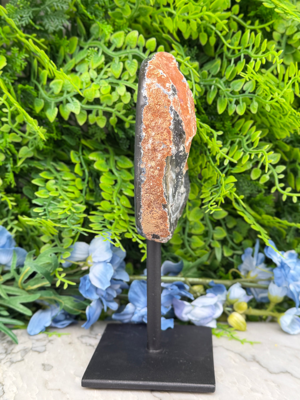 a rock formation with a piece of rock on display, surrounded by a lush green plant and blue flowers.