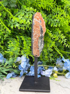 a rock formation with a piece of rock on display, surrounded by a lush green plant and blue flowers.