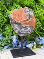 a rock with a black and orange color pattern, displayed on a black stand in front of a backdrop of green foliage and blue flowers.