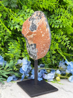 a rock formation with a black and orange color pattern, placed on a black stand in front of a backdrop of green foliage and blue flowers.