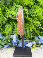 a rock formation with a black base and a brown, weathered section, set against a backdrop of lush green foliage and blue flowers.