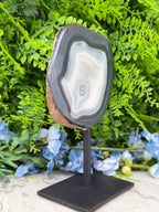 a large, irregularly shaped rock with a striped pattern, displayed on a black stand in front of a backdrop of green foliage and blue flowers.