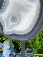 a close-up view of a black and white striped agate stone, with a small hole in the center. The stone is set against a backdrop of green foliage, creating a contrast between the natural and man-made elements.