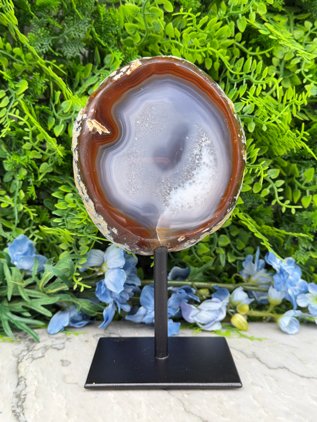 a large, circular agate stone on display, placed on a black stand. The stone has a unique, striped pattern and is surrounded by a variety of green foliage, creating a natural and visually appealing setting.