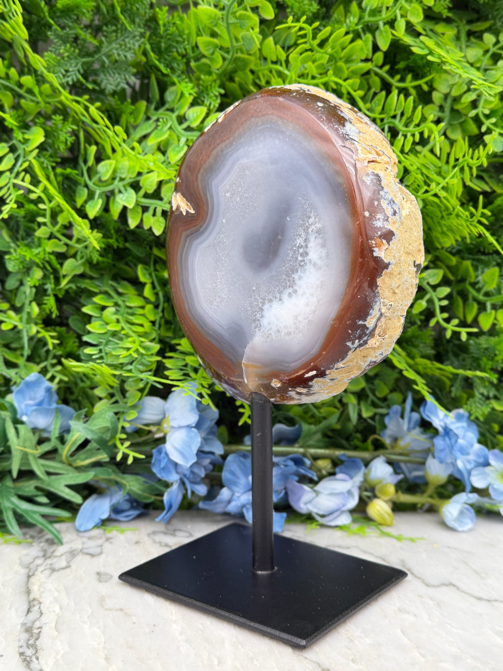 a large, round, and unique rock formation with a white and brown color pattern, placed on a black stand in front of a backdrop of green foliage and blue flowers.