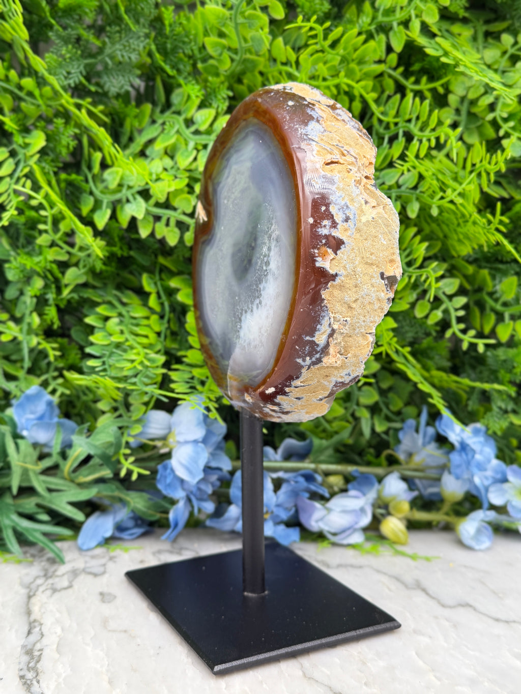 a large, round, brown and white rock with a white center, displayed on a black stand in front of a backdrop of green foliage and blue flowers.
