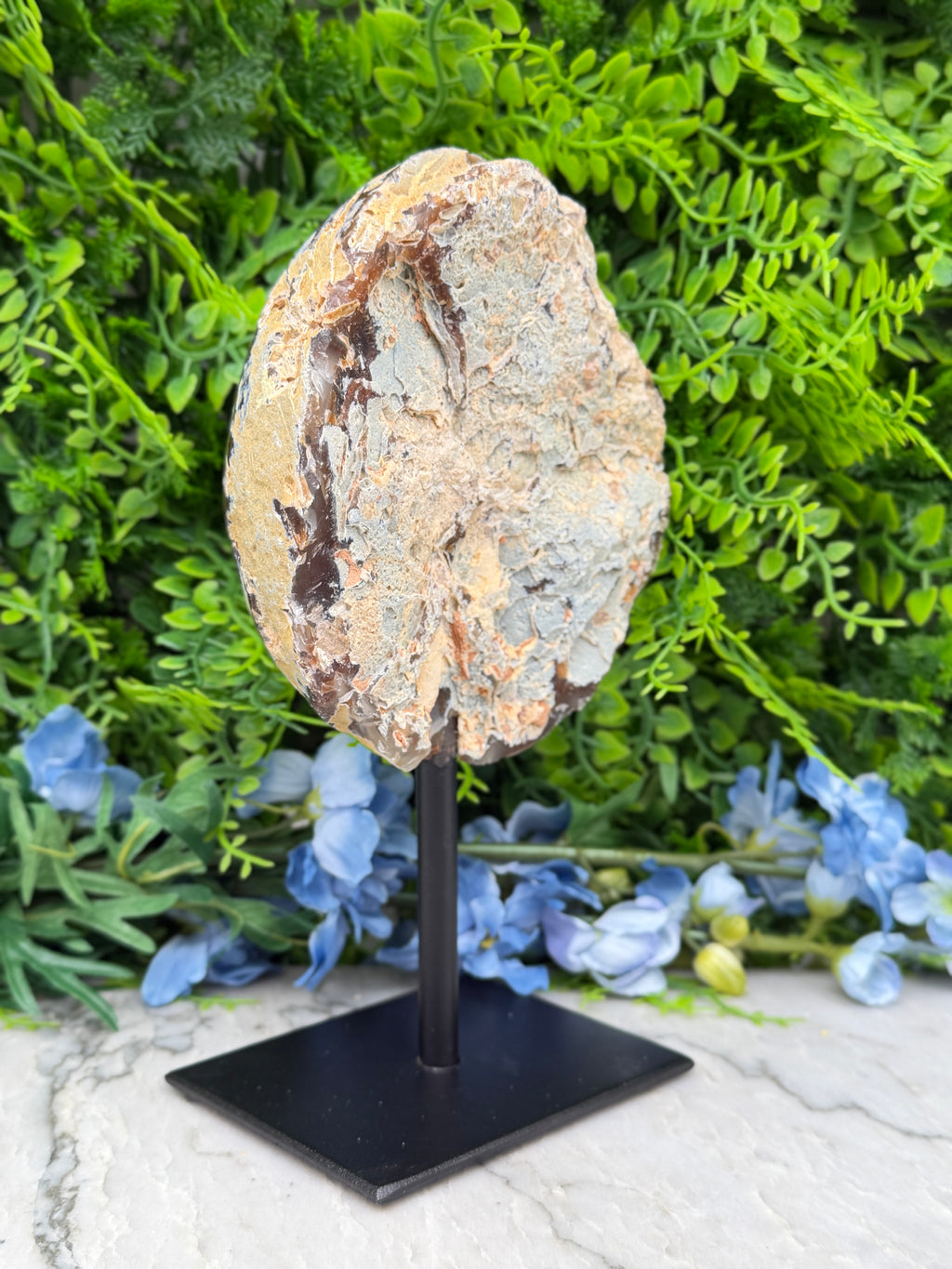 a large, round, and weathered rock formation displayed on a black stand, surrounded by a lush green plant and blue flowers.