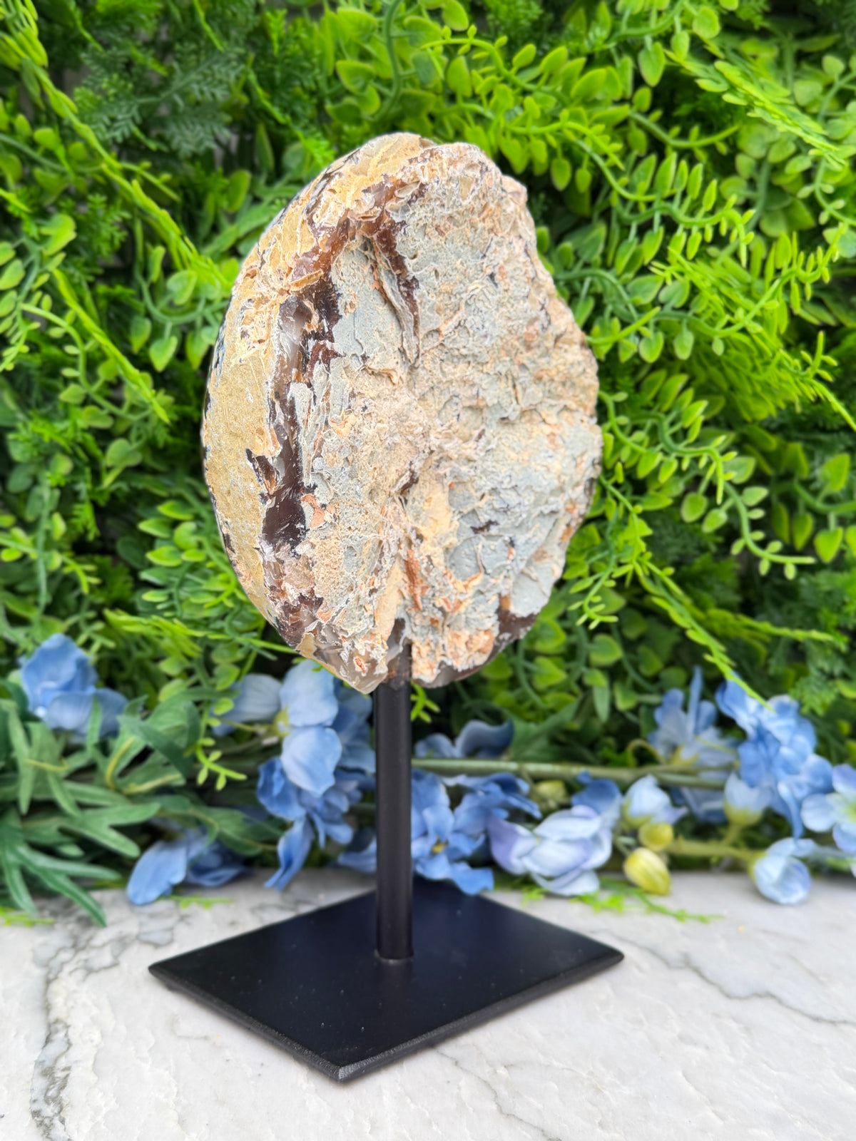 a large, round, and weathered rock formation displayed on a black stand, surrounded by a lush green plant and blue flowers.