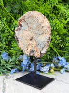 a round, weathered rock formation displayed on a black stand, surrounded by lush green foliage and blue flowers.