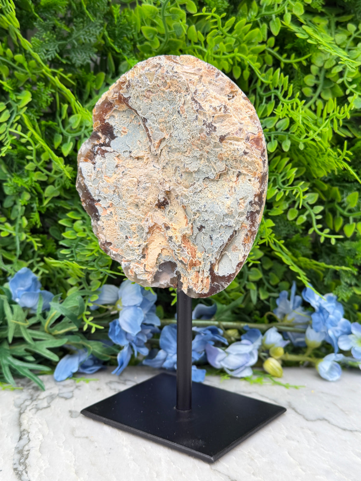 a round, weathered rock formation displayed on a black stand, surrounded by lush green foliage and blue flowers.