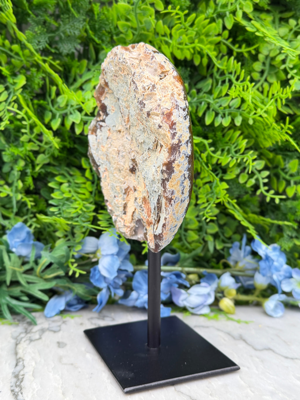 a large, irregularly shaped rock or stone on display, placed on a black stand. The rock is surrounded by a variety of green foliage, creating a natural and visually appealing setting.
