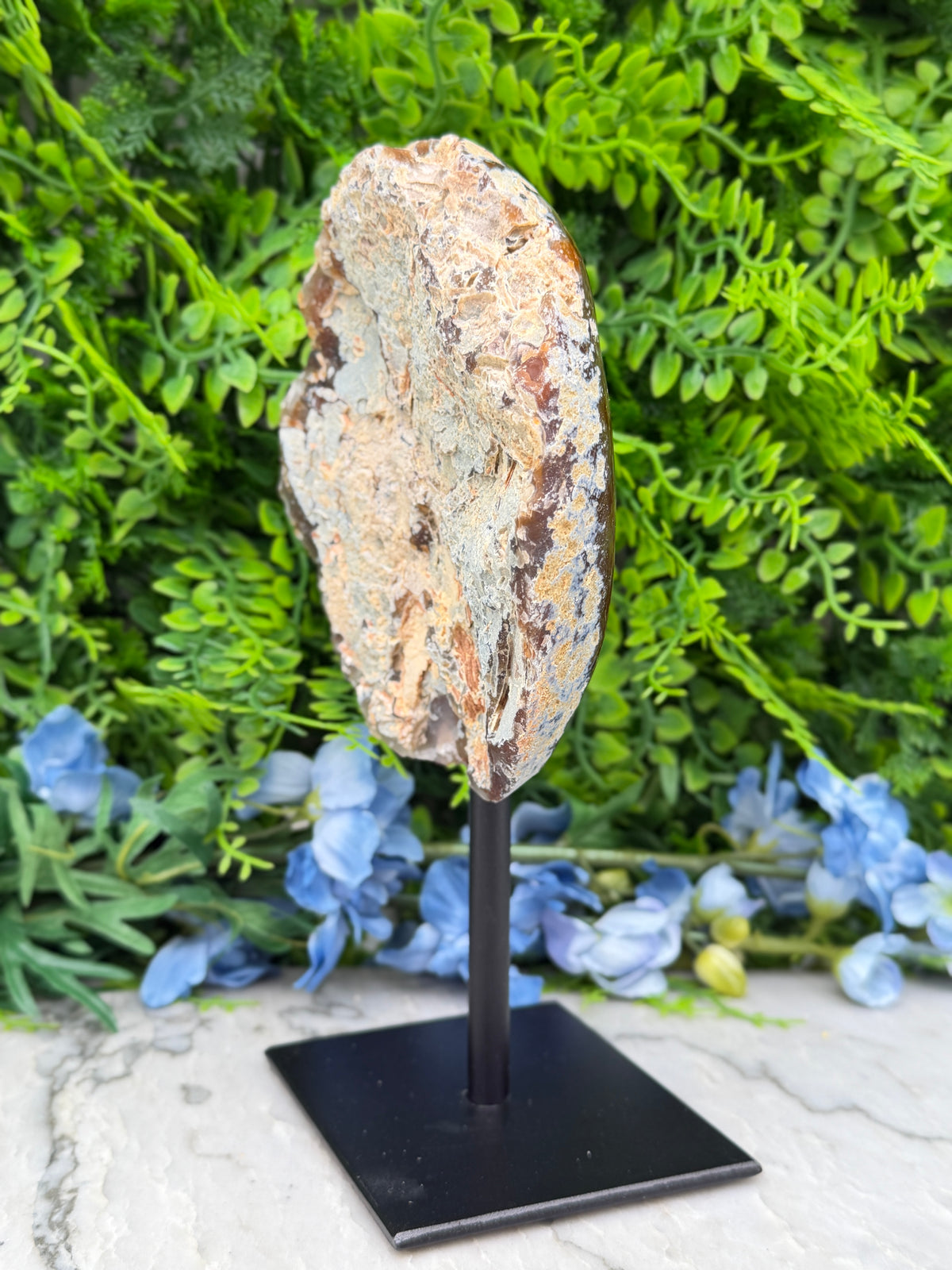 a large, irregularly shaped rock or stone on display, placed on a black stand. The rock is surrounded by a variety of green foliage, creating a natural and visually appealing setting.