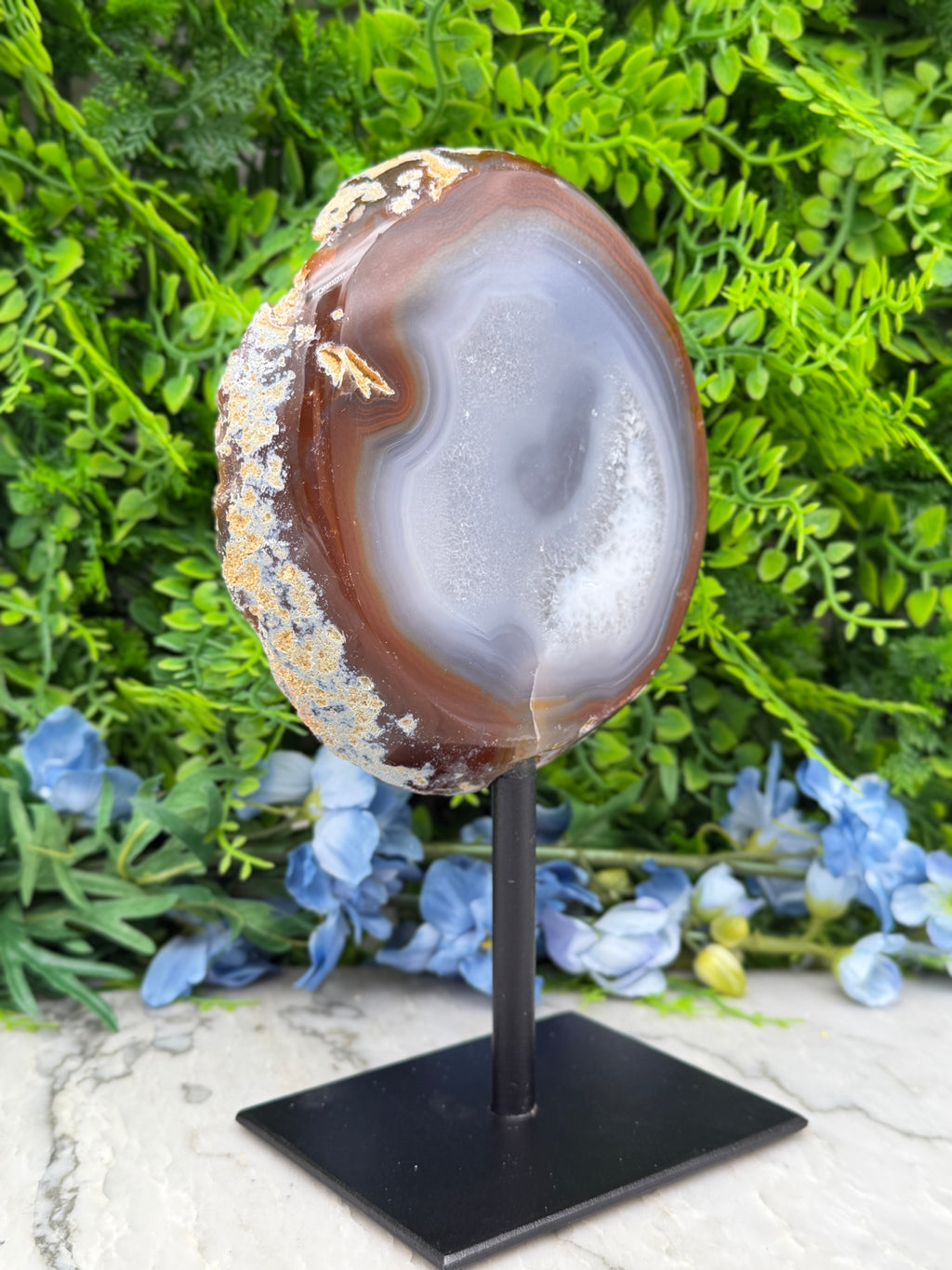 a large, round, and unique rock formation with a distinctive pattern, displayed on a black stand in front of a backdrop of green foliage.