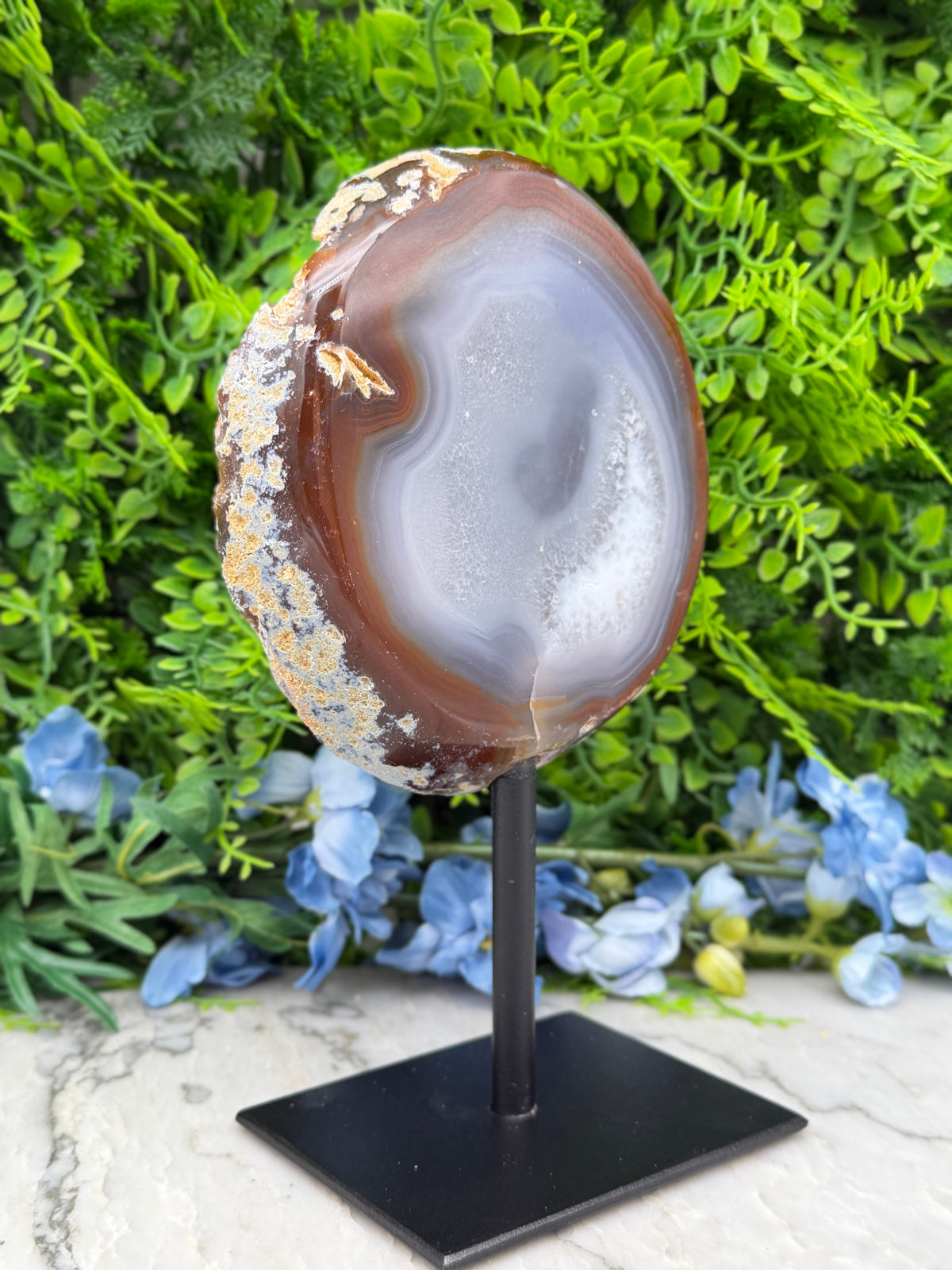 a large, round, and unique rock formation with a distinctive pattern, displayed on a black stand in front of a backdrop of green foliage.