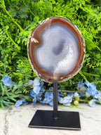 a round agate stone with a brown and white pattern, displayed on a black metal stand in front of a backdrop of green foliage and blue flowers.