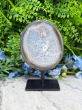 a large, round, natural stone with a unique, irregular pattern, displayed on a black stand. The stone appears to be a type of agate, and it is set against a backdrop of lush, green foliage.