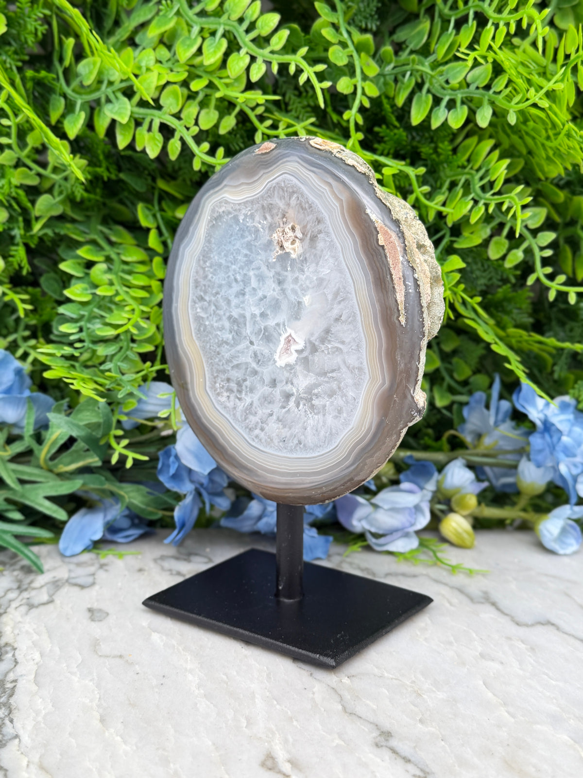 a large, irregularly shaped rock with a unique pattern, displayed on a black stand in front of a backdrop of green foliage and blue flowers.