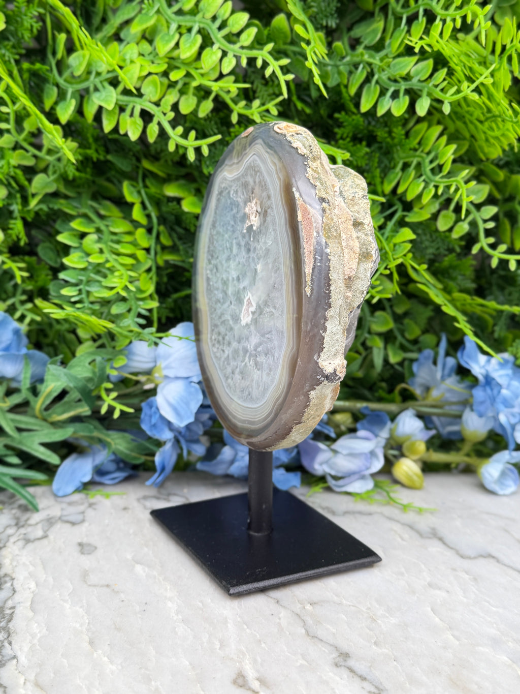 a large, oval-shaped rock with a unique, striped pattern, displayed on a black stand in front of a backdrop of lush green foliage and blue flowers.