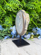 a large, oval-shaped rock with a unique, striped pattern, displayed on a black stand in front of a backdrop of lush green foliage and blue flowers.