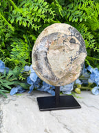 a large, round, gray rock with a black and white pattern on it, displayed on a black stand in front of a backdrop of green foliage.
