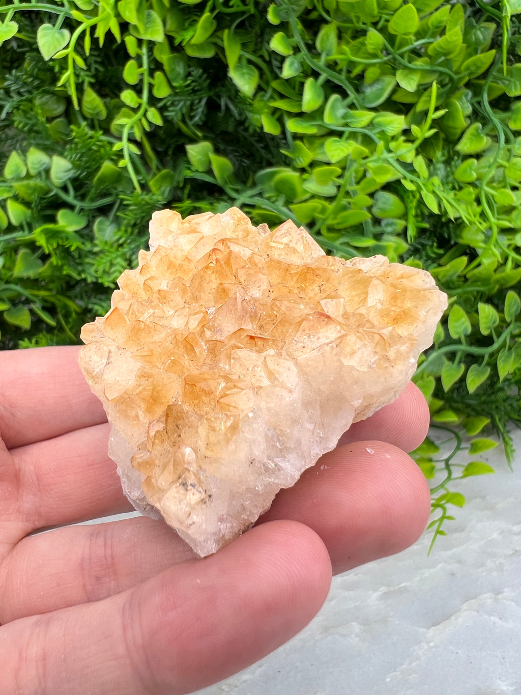 Gebrande Citrien cluster