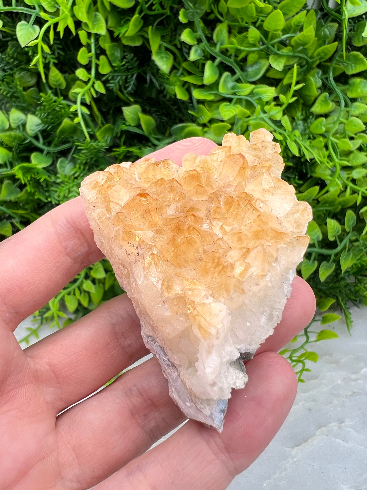 Gebrande Citrien cluster