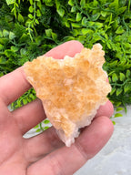 Gebrande Citrien cluster