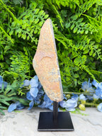 Halve Agaat op standaard (796 gr/18 cm)