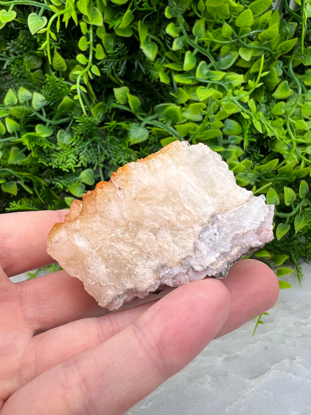 Gebrande Citrien cluster