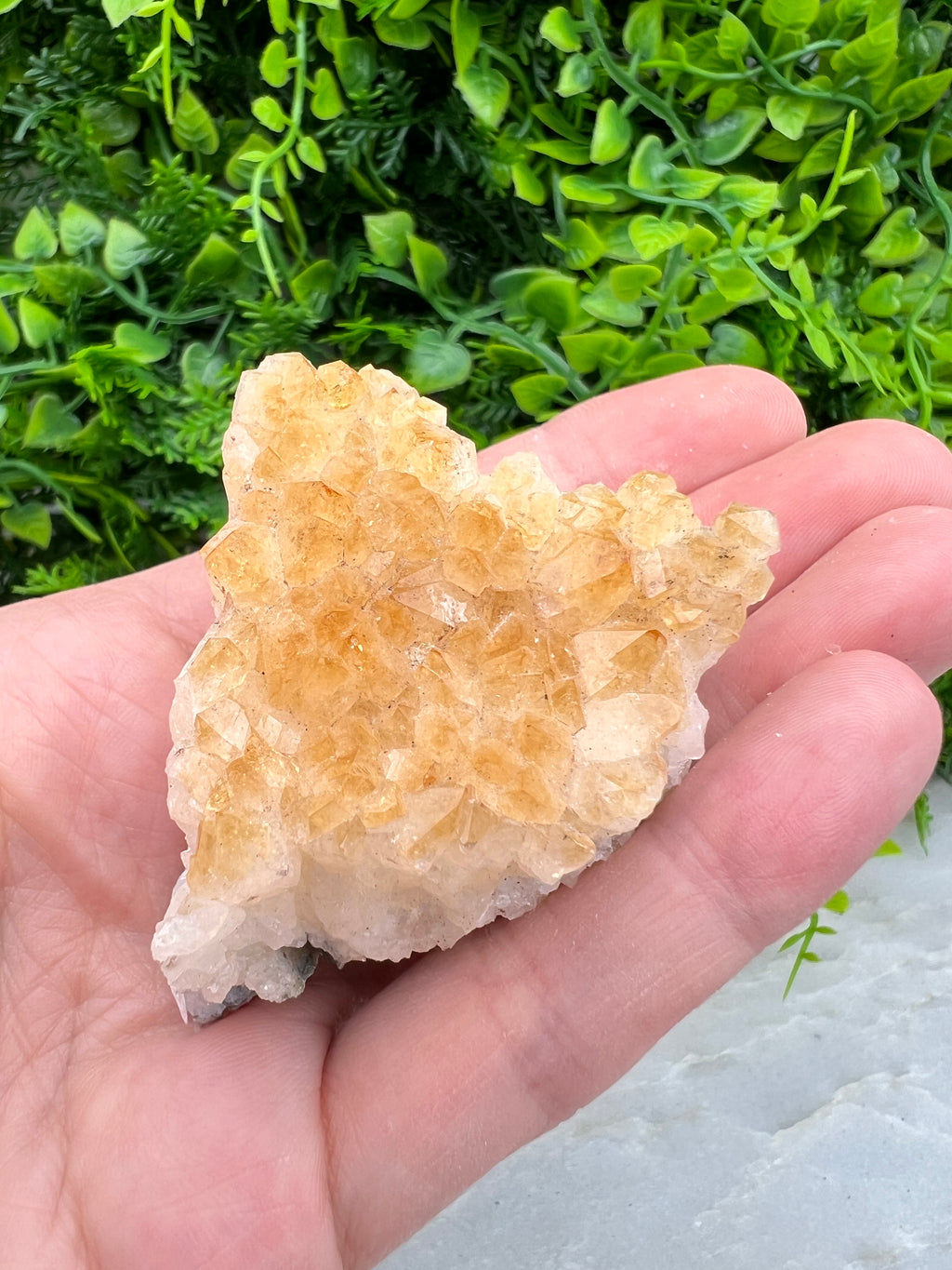 Gebrande Citrien cluster