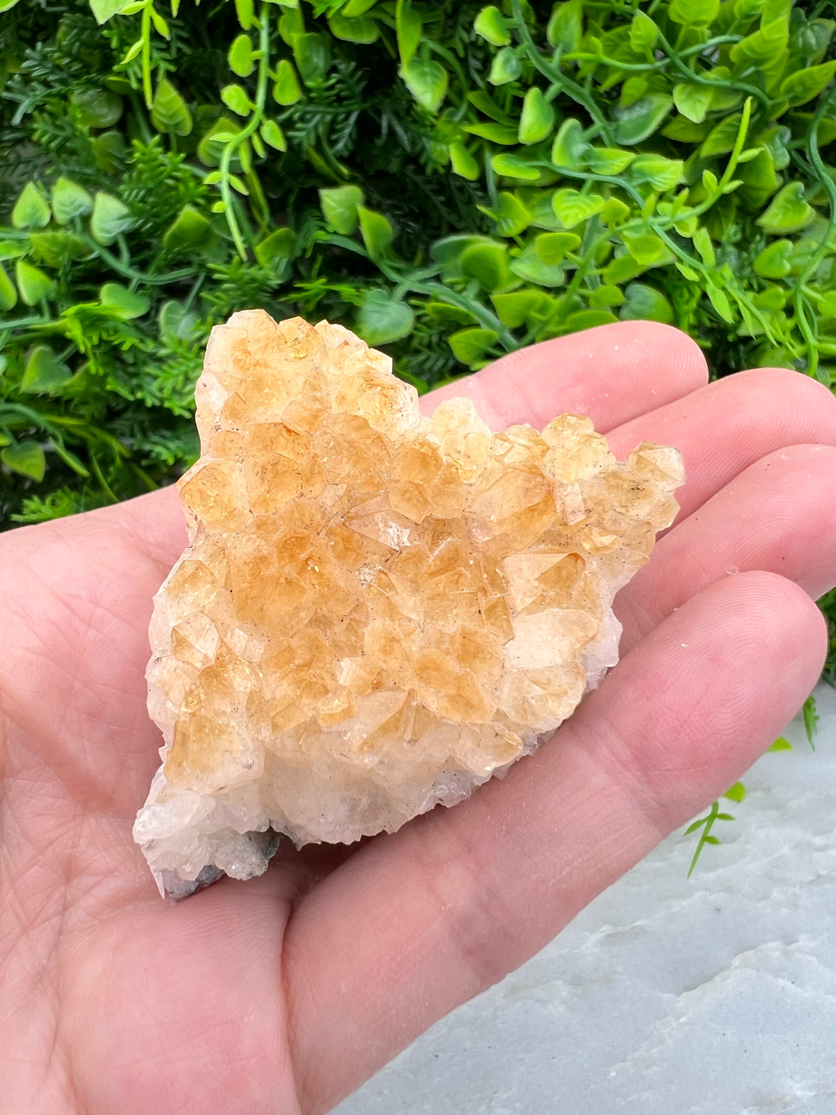 Gebrande Citrien cluster