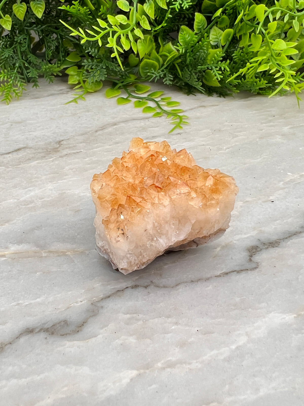 Gebrande Citrien cluster