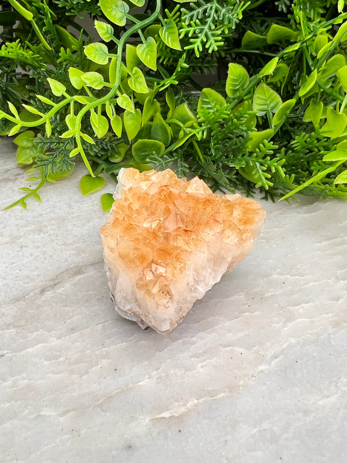 Gebrande Citrien cluster