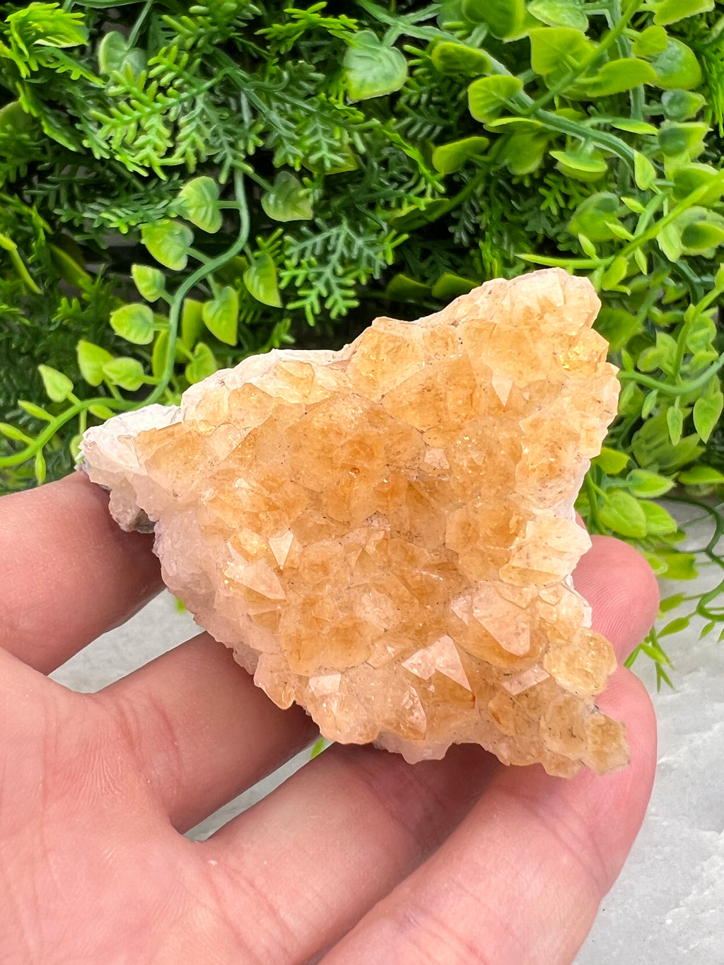 Gebrande Citrien cluster