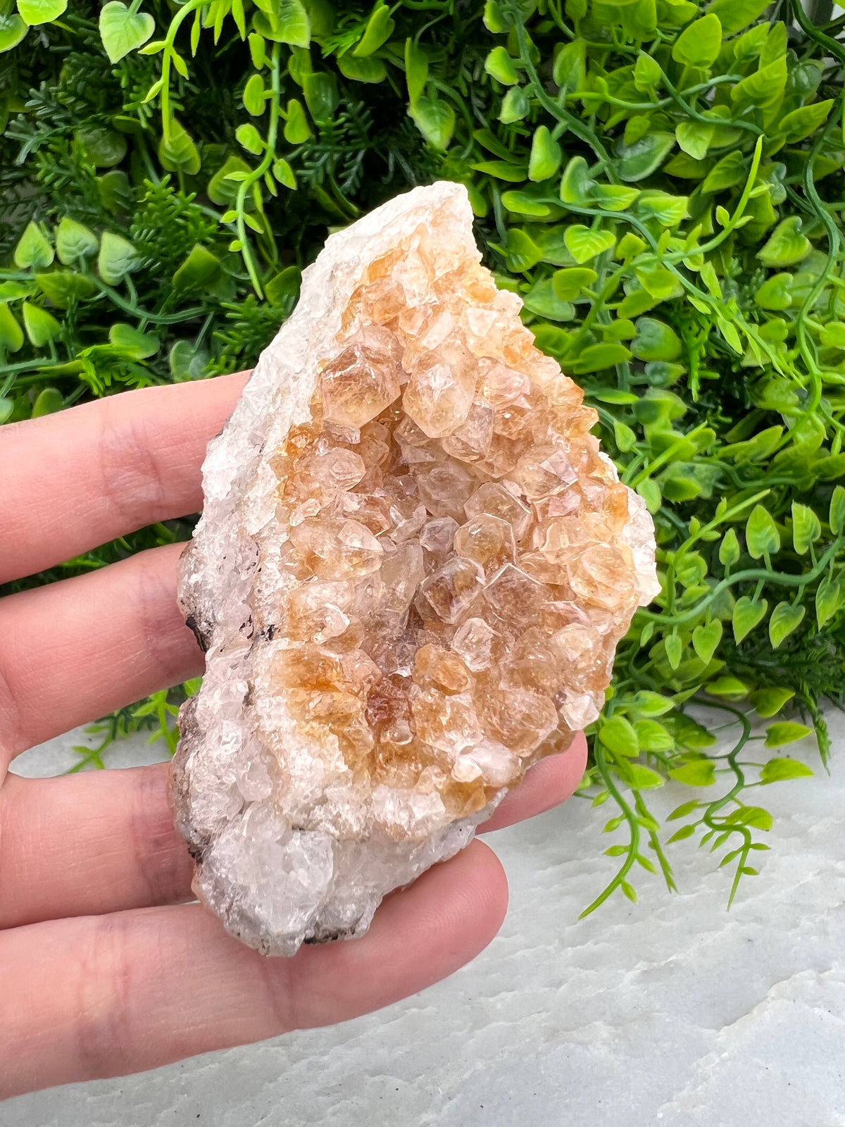 Gebrande Citrien cluster