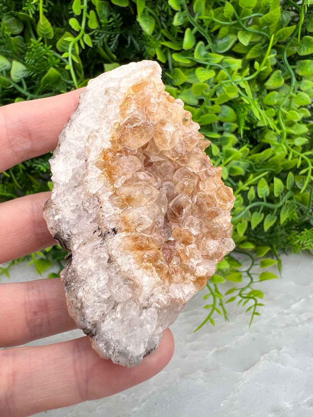 Gebrande Citrien cluster