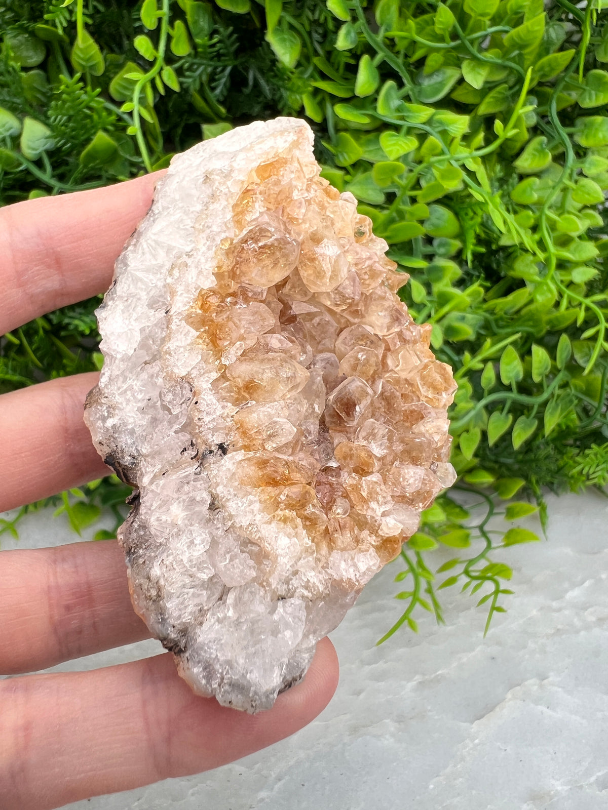 Gebrande Citrien cluster