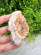 Gebrande Citrien cluster