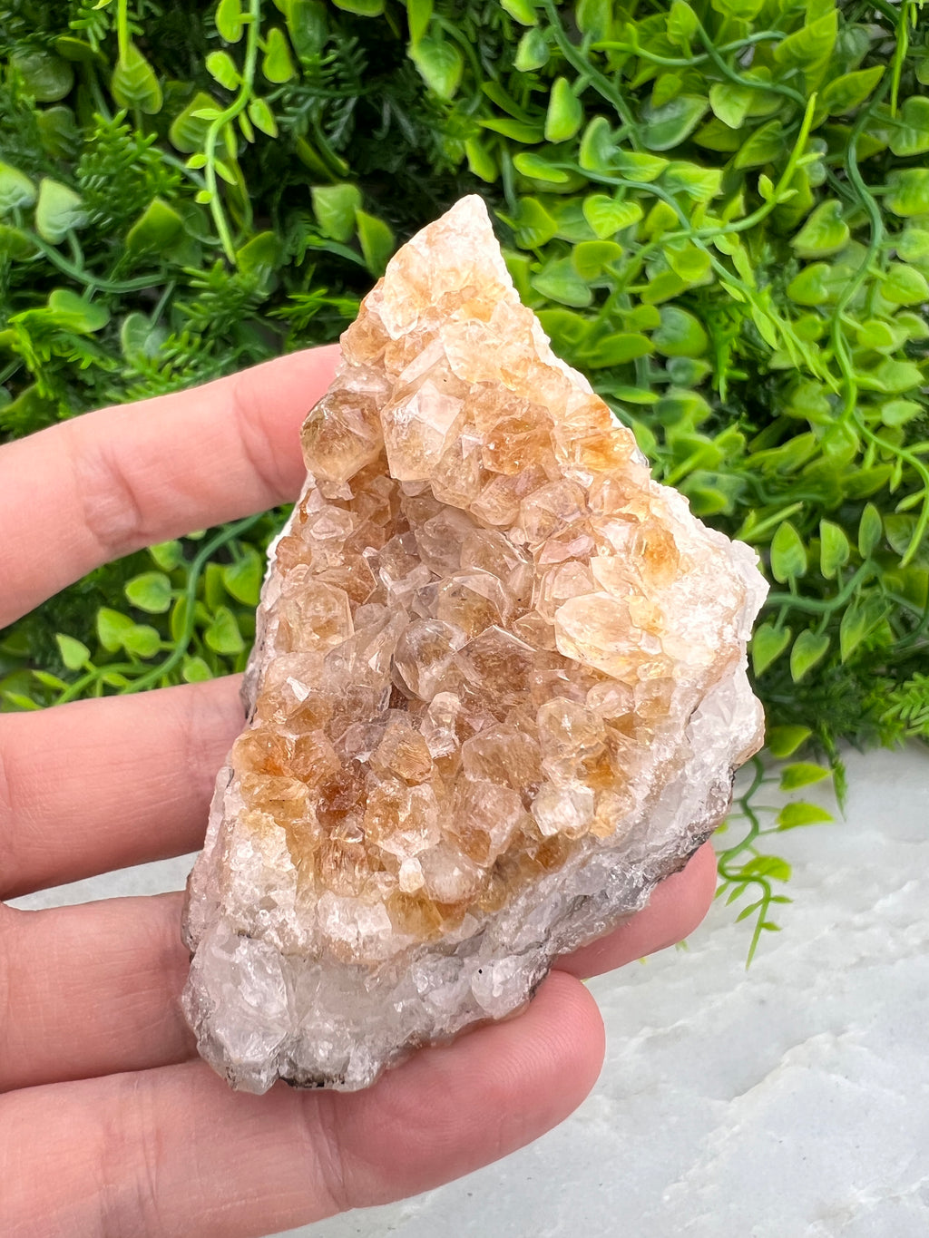 Gebrande Citrien cluster